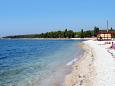 Nearest beach Nearest beach - Apartments Fažana (Fažana) - 7252