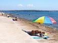 Nearest beach Nearest beach - Apartments Novigrad (Novigrad) - 6979