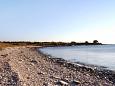 Nearest beach Nearest beach - Apartments Novigrad (Novigrad) - 7142