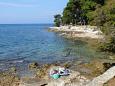 Nearest beach Nearest beach - Apartments Poreč (Poreč) - 7154