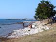 Nearby beaches Nearby beaches - Apartments Barići (Umag) - 7003