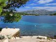 Nearest beach Nearest beach - Apartments Korčula (Korčula) - 9158