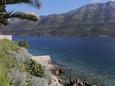 Nearest beach Nearest beach - Apartments Korčula (Korčula) - 549