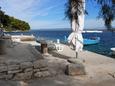 Nearest beach Nearest beach - Apartments Račišće (Korčula) - 9169