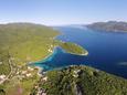 Uvala Vrbovica Uvala Vrbovica - Apartments Uvala Vrbovica (Korčula) - 4390