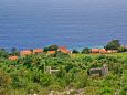 Dingač - Potočine Dingač - Potočine - Apartments Dingač - Potočine (Pelješac) - 4533