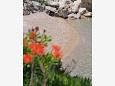 Nearest beach Nearest beach - Apartments Trstenik (Pelješac) - 4572