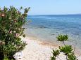 Nearest beach Nearest beach - Apartments Mandre (Pag) - 6518