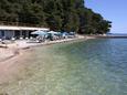 Nearest beach Nearest beach - Apartments and Rooms Palit (Rab) - 5039