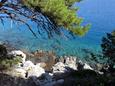 Nearby beaches Nearby beaches - Apartments Božava (Dugi otok) - 8098