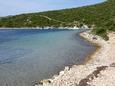 Nächster Strand Der Strand im Ort Uvala Kobiljak, Pašman.