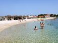Nearest beach Nearest beach - Apartments Ugljan (Ugljan) - 8491