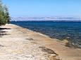 Nearest beach Nearest beach - Apartments Ugljan (Ugljan) - 8421