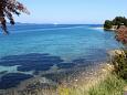 Nearest beach Nearest beach - Apartments Zadar (Zadar) - 6205