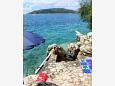 Nearest beach Nearest beach - Apartments Okrug Donji (Čiovo) - 8072