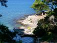 Nearest beach Nearest beach - Apartments Jelsa (Hvar) - 4017