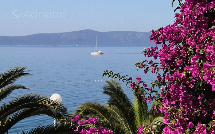 https://vacation-croatia.s3.amazonaws.com/data/wallpapers/podgora-scene/wallpaper-podgora-scene-adriatic-hr.jpg